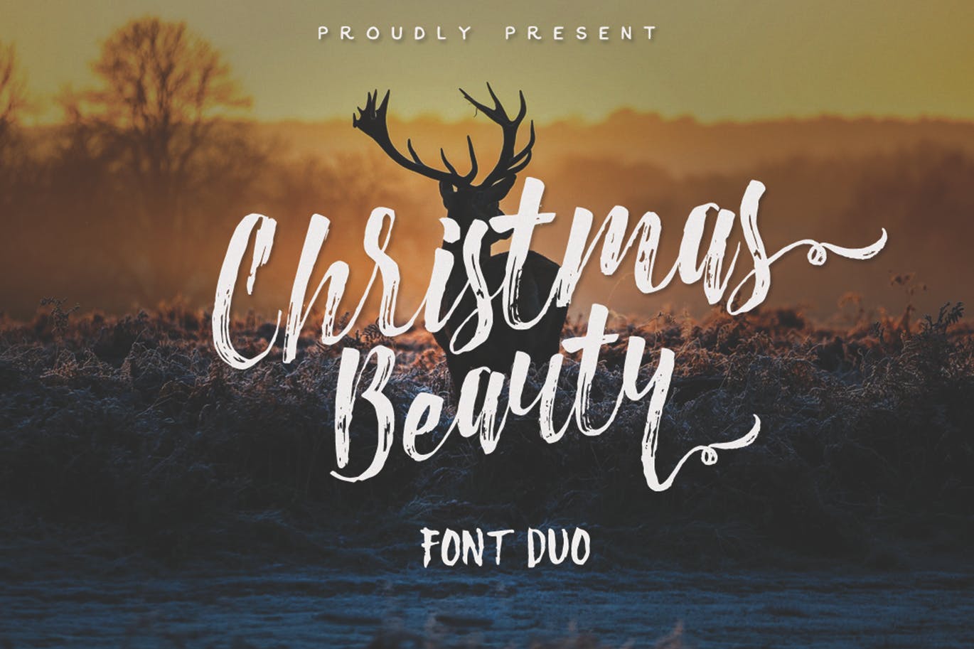 Christmas-Beauty