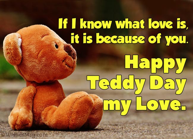 Teddy Day wishes for Him