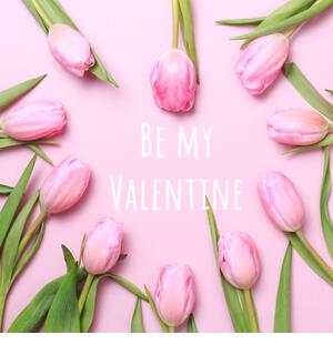 Be my Valentine wording with pink tulips on the pink background. Flat lay, top view. Valentines background. Square - Stock Image