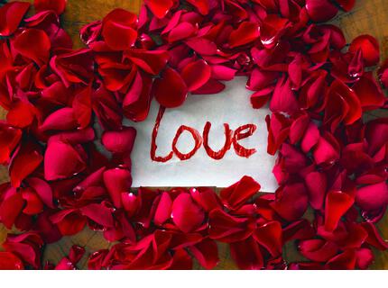 The text I love you surrounded with red rose petals, romantic concept top view valentines background - Stock Image