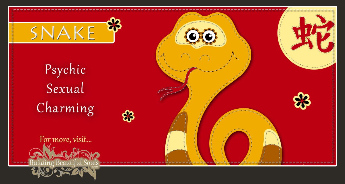 chinese astrology year of the snake