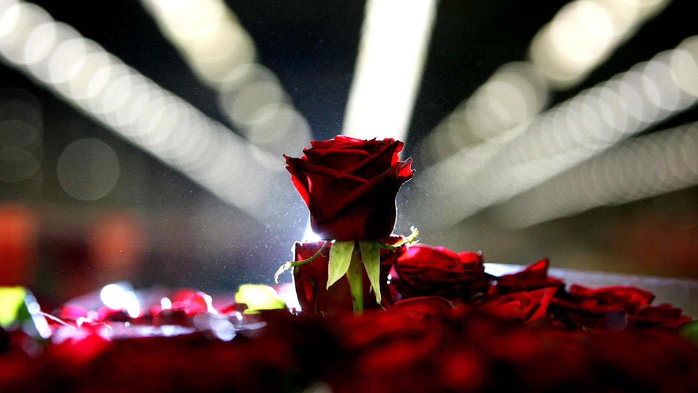 Love poems: 21 romantic classics