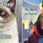29 St. Patrick's Day Pics and Memes to Enjoy With Your Breakfast Beer - Funny Gallery
