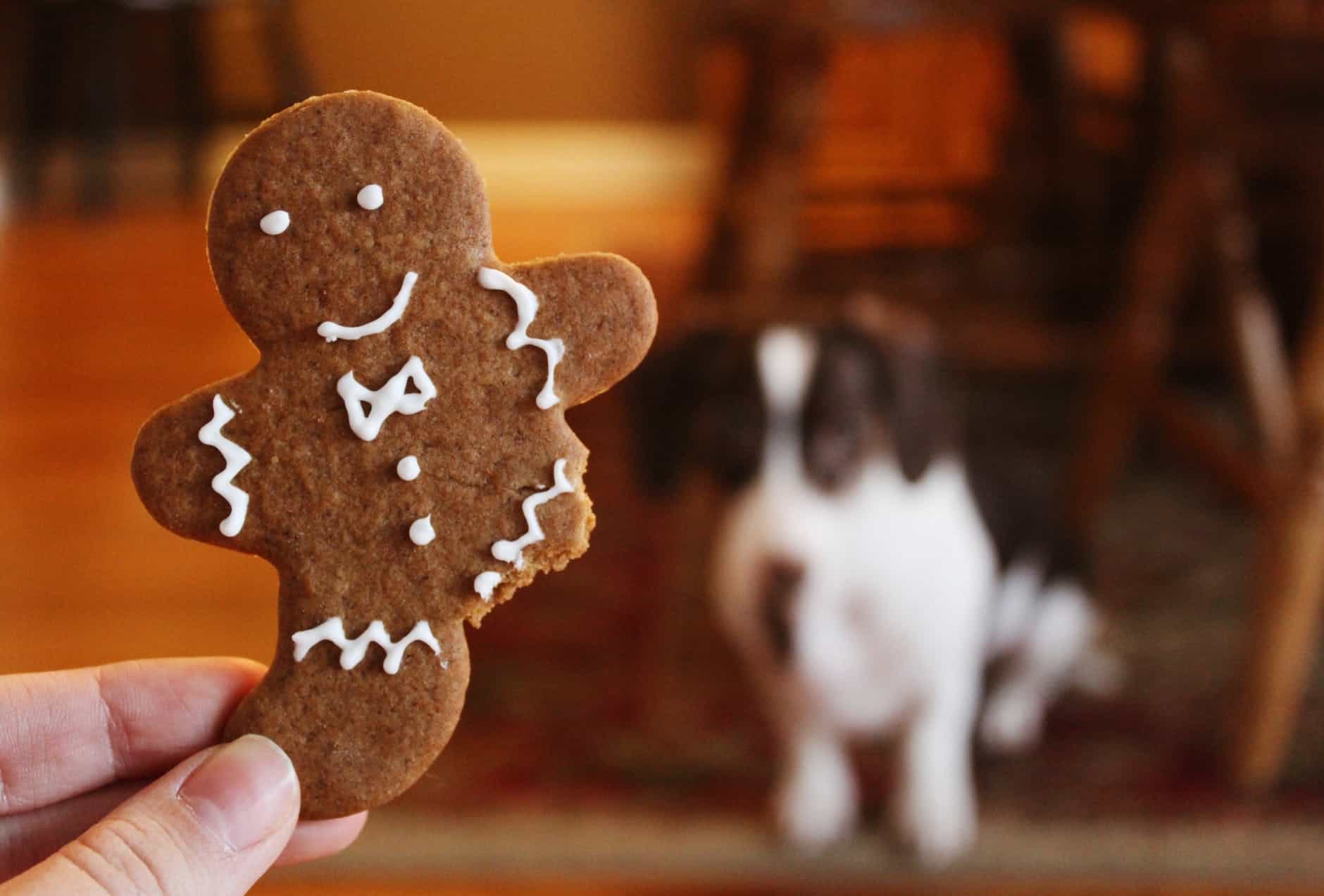The Connection Between Gingerbread Men And Christmas