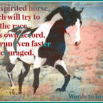 What Year is 2014 in Chinese New Year? It is the Chinese New Year, Year of the Horse 2014. Horse Quotes for Pinterest.