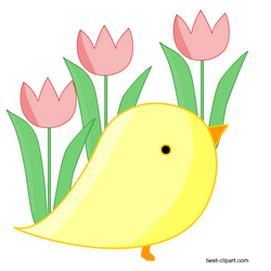 Easter chick and tulips, free clip art