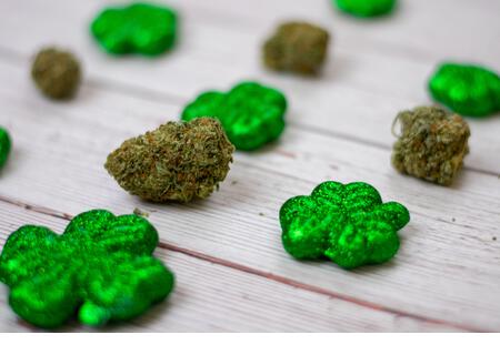 Cannabis Nugs Next to Glitter Covered Four Leaf Clovers for Saint Pattys Day - Stock Image