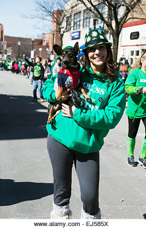 St. Patty's Day Dog, St. Patrick's Day Parade, 2014, South Boston, Massachusetts, USA - Stock Image