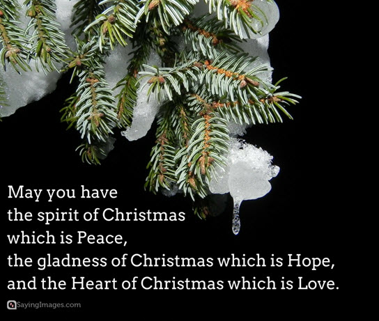 merry-christmas-sayings