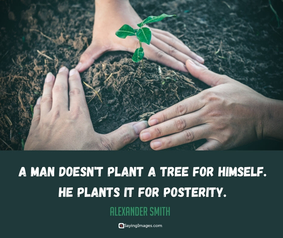 tree posterity quotes
