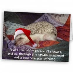 funny-night-before-christmas-poems