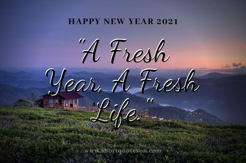 Let Start this fresh year for fresh life 2021