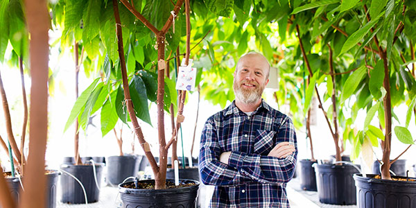 Professor DeWayne Shoemaker poses with the cocoa tree.