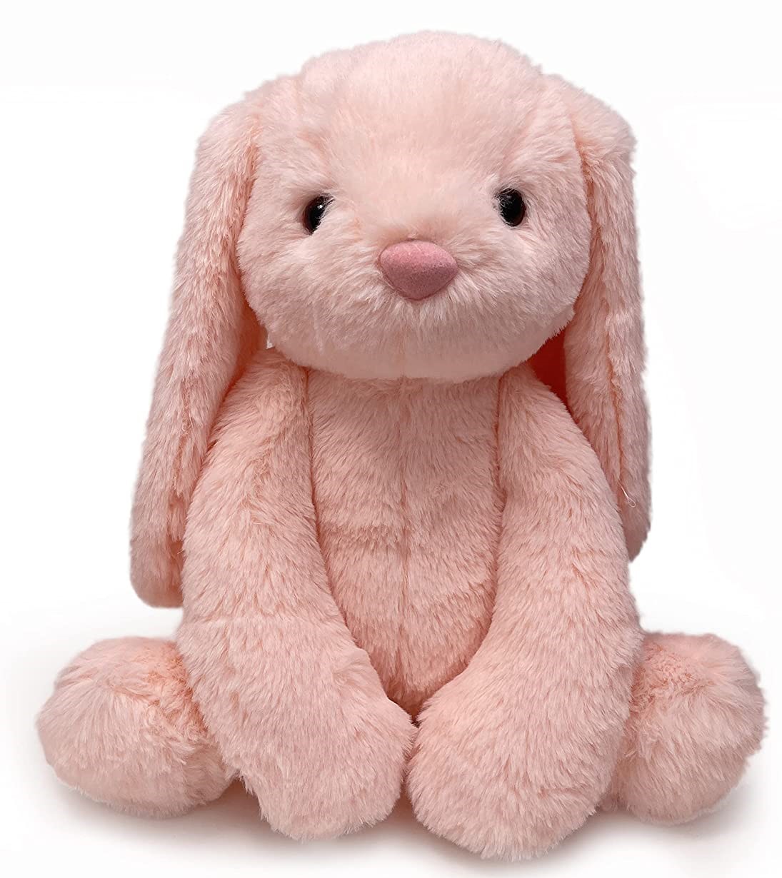 cute rabbit.jpg