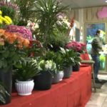 Valentine's Day flowers encounter thorny supply chain issues