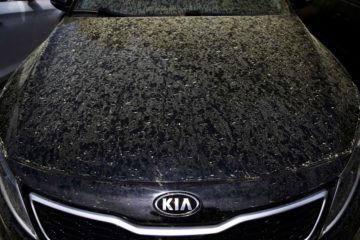 Pine pollen collects on the hood of a car in Dunwoody, Georgia, Monday, March 30, 2020.