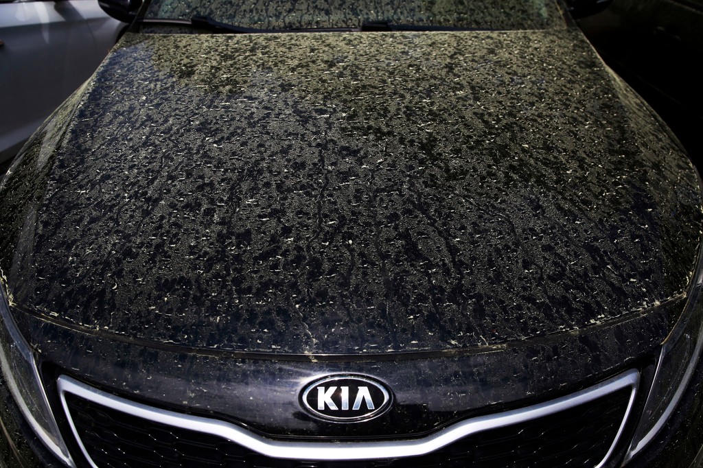 Pine pollen collects on the hood of a car in Dunwoody, Georgia, Monday, March 30, 2020.